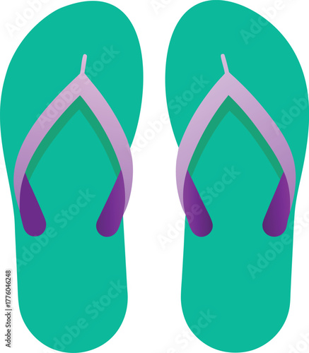 flip flops vector illustration