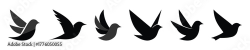 Six Flying Birds Silhouette Set Showing Different Wing Positions and Motion