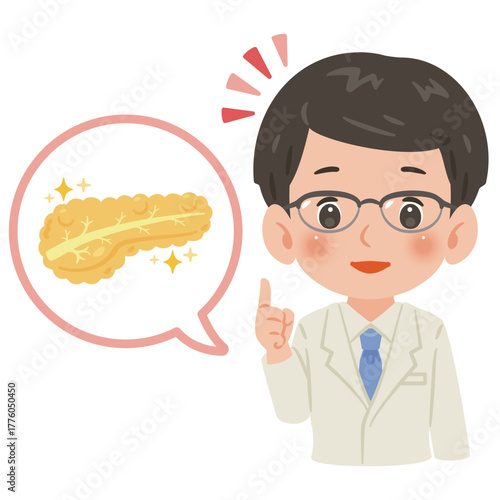 健康な膵臓と白衣を着た男性医師　上半身イラスト／Healthy Pancreas with Male Doctor in White Coat　upper body illustration
