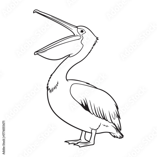 Outline drawing of a pelican with beak open colouring page