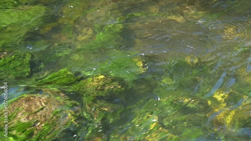 Mossy Rocks Beneath River Water Flow – Peaceful Underwater Nature Background in 4K