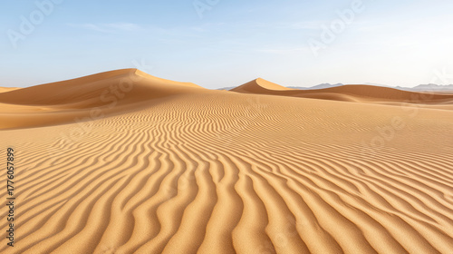Golden sand dunes under soft morning light create serene landscape of ripples and curves