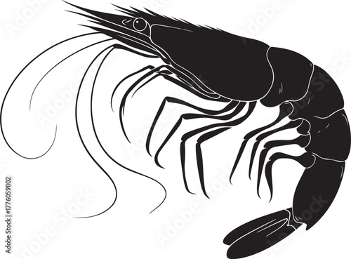 Black shrimp illustration, a delicious seafood delicacy
