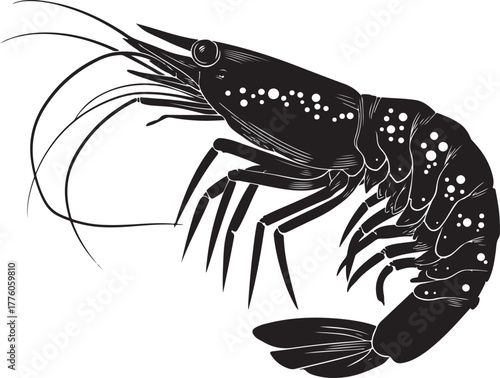 Detailed black and white shrimp illustration
