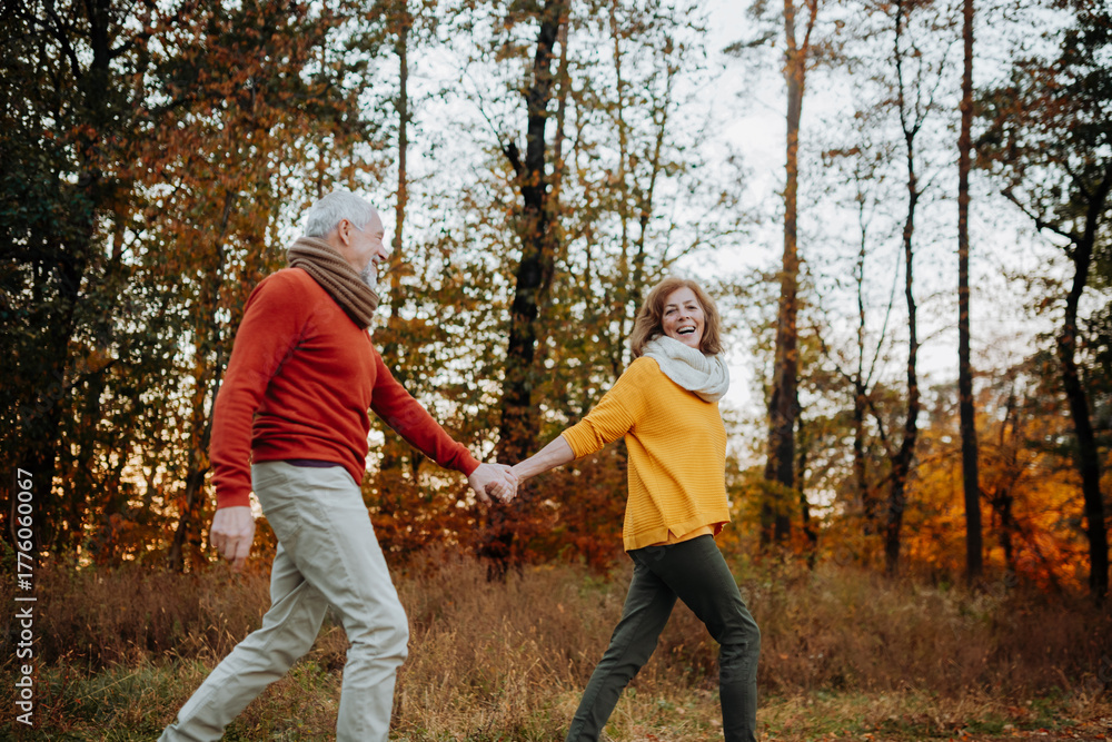 Fototapeta premium Senior couple enjoying autumn walk in nature,