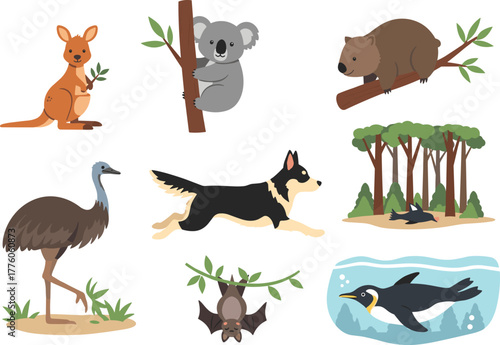 Australian animal illustration set, kangaroo koala wombat emu, forest wildlife vector, native species graphics, educational nature design, cartoon style character pack