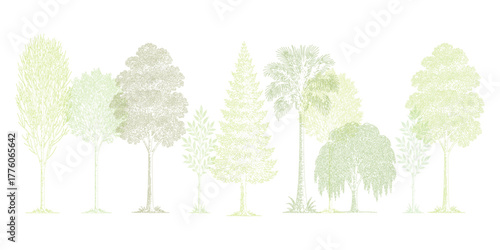 A line drawing of various green trees and plants on a white background nature
