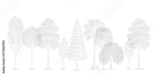 Collection of diverse trees in detailed line art style on white background nature forest