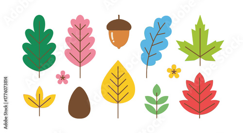 Colorful collection of autumn leaves and a single acorn arranged on a white surface.