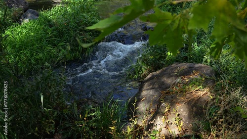Pristine Clear Water Stream Flowing Through Mountain Landscape – 4K