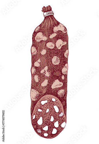 Salami sausage hand drawn vector