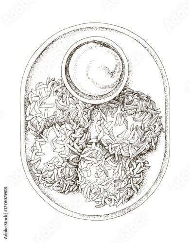 Potato pancakes sketched vector illustration