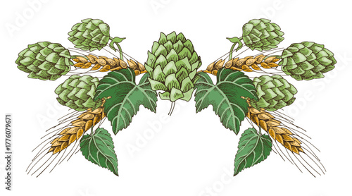 Hop branches with cones and barley ears