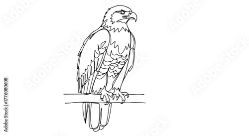 Falcon perched on branch wildlife vector line art illustration.