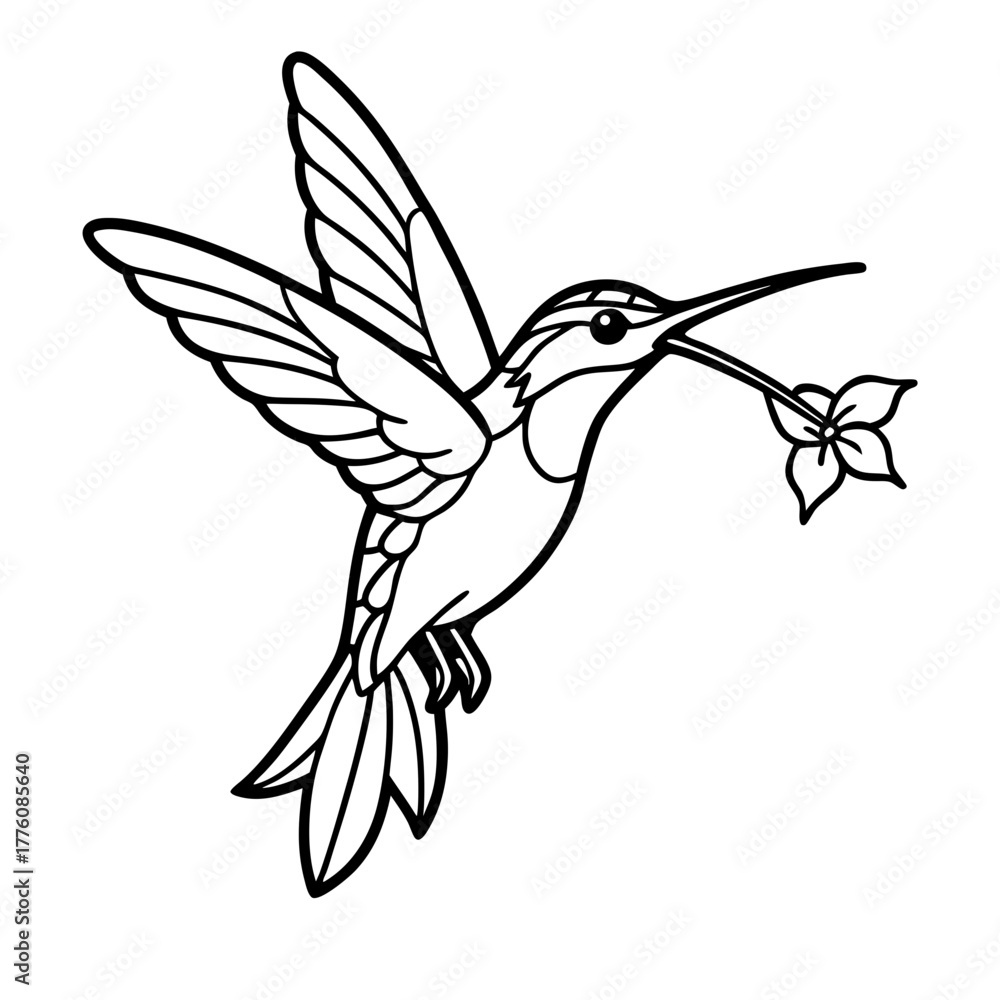 Fototapeta premium hummingbird flying vector illustration