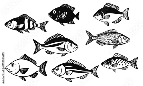 Set of various fish species in black and white vector style, detailed aquatic animal illustrations, fishing design, marine wildlife art, fish vector, sea life, underwater illustration