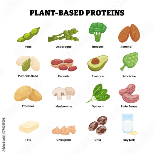 Set of vegan high protein plant based food collection, superfood peas, asparagus, almond, artichoke, broccoli, chia seeds, chickpeas, mushroom, peanuts, pinto,potatoes, pumpkin, soy milk, tofu,spinach