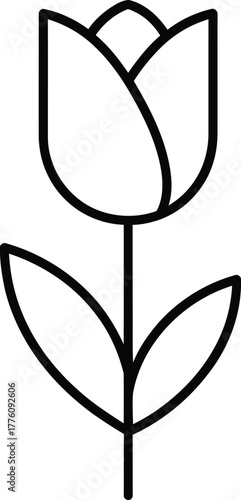 Minimalist tulip flower outline simple botanical line art graphic symbol isolated on transparent background