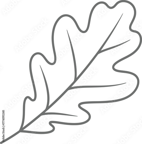 Hand-drawn oak leaf outline symbolizing nature and autumn season natural beauty isolated on transparent background