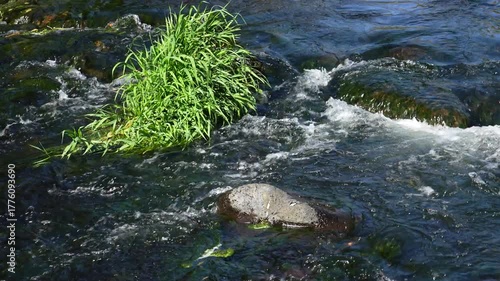 Pristine Clear Water Stream Flowing Through Mountain Landscape – 4K