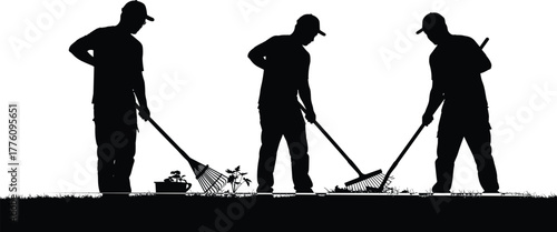 Silhouette people gardening, raking leaves, outdoor yard work, teamwork, landscaping, agriculture concept, community gardening, maintenance, environment care, lifestyle activity