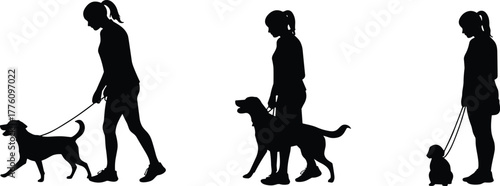 Silhouette people walking dogs, pet leash training, outdoor activity, human animal bond, dog obedience, companionship, exercise, lifestyle, pet care, discipline