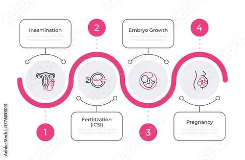 Reproductive health infographic pink line circles. Artificial insemination. Prenatal care service. Editable thin line icons diagram process with 4 steps. Montserrat-SemiBold, Regular fonts used