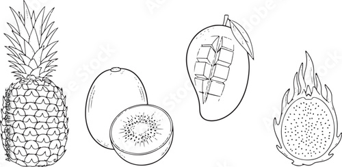 Hand Drawn Tropical Fruits Pineapple Kiwi Mango Dragon Fruit Line Art vector illustration