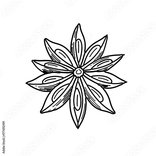 Hand-drawn star anise spice with eight points and detailed line work