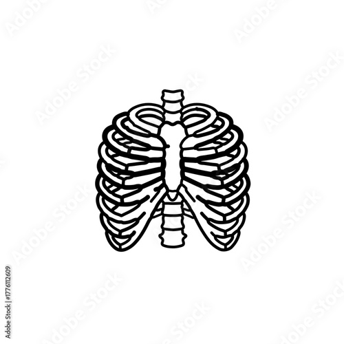 Detailed Line Art Illustration of Human Rib Cage Anatomy