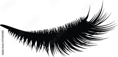Realistic close-up of elegant black false eyelashes on for beauty and makeup concepts isolated on transparent background