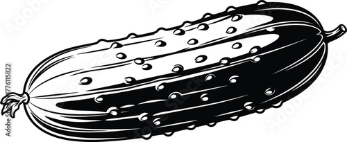 Detailed sketch of a fresh gherkin cucumber with textured skin and natural stem isolated on transparent background