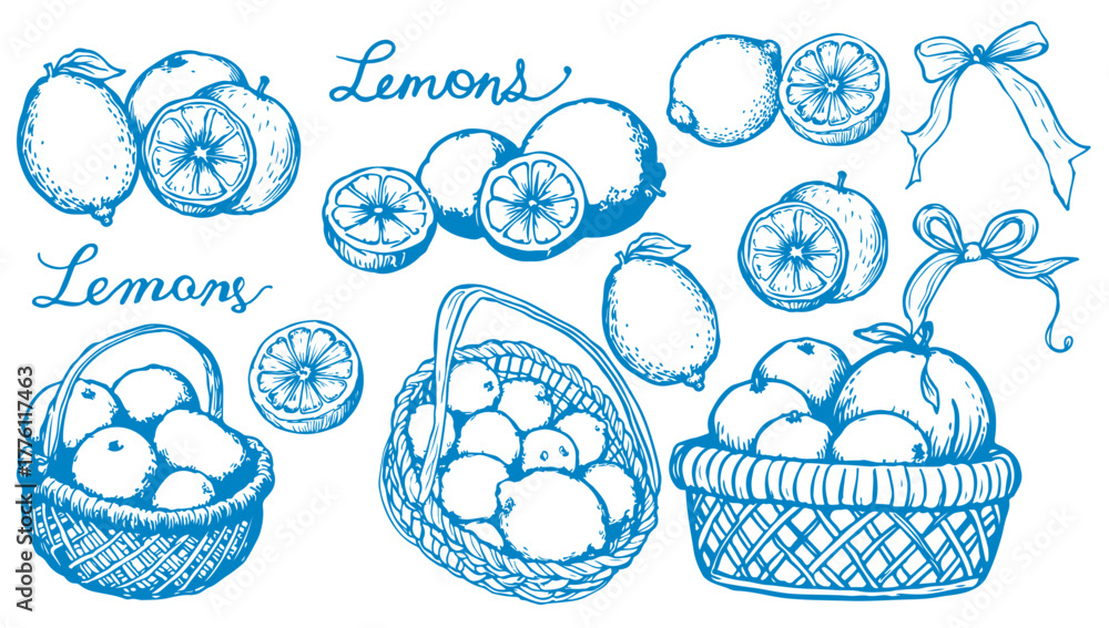 Obraz premium Lemons Set Sketch Line Drawing Style. Line Art Fruit Sketch on White Background. Citrus Contour Outline Illustration. Vector EPS 10.