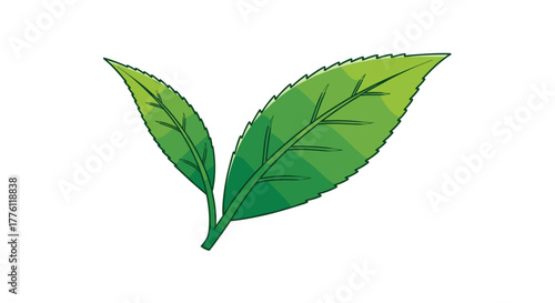 Vibrant fresh green tea leaves symbolizing natural growth and organic freshness perfect for wellness and beverage branding, Generative AI.