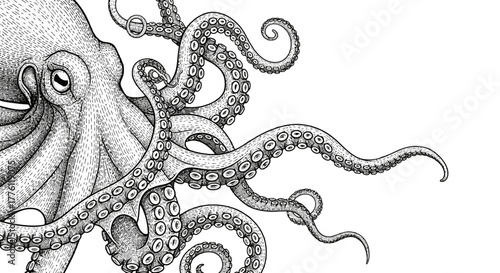 Detailed stippling drawing of an octopus with curled tentacles against a stark white canvas,.
