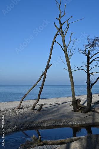 Fototapeta Naklejka Na Ścianę i Meble -  View of the Baltic Sea coast.