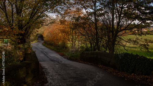 road in autumn