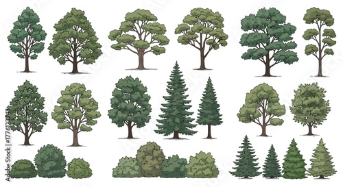 Collection of diverse tree illustrations, including deciduous and coniferous varieties, with varying shapes and sizes, set against a white background.