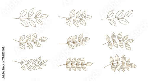 Collection of nine elegant botanical leaf branch illustrations in beige.