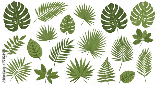 Illustration of various tropical leaves, including monstera, palm, and fern leaves, in shades of green.