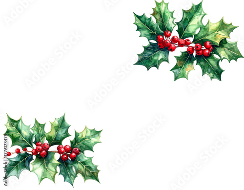 Christmas decoration with watercolor holly and berries on green leaves
