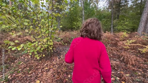 A girl walking through an autumn forest, rear view. High quality 4k footage