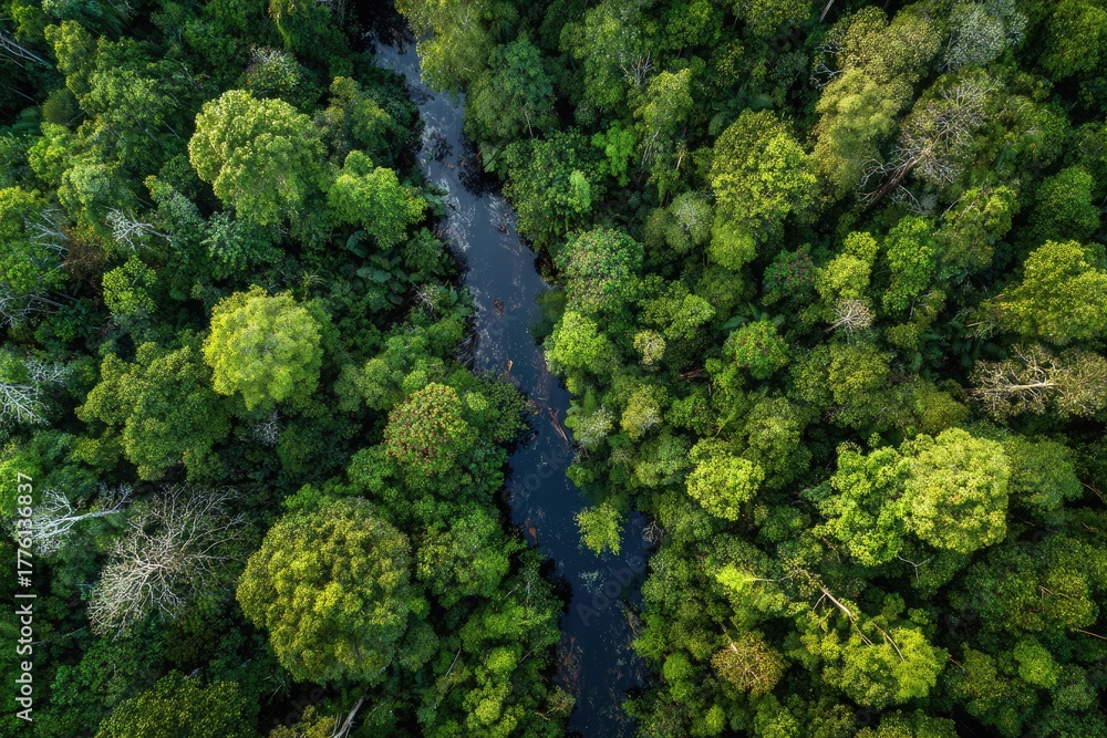 Naklejka premium Aerial shot of lush green rainforest with a winding river flowing through it