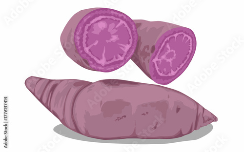 a purple sweet potato with a slice cut out of it issolated on white. Carbohydrate food