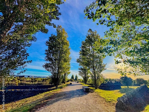 Foto Path going through trees rustling with wind in summer.