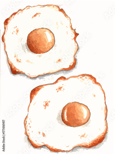fried egg on a white background