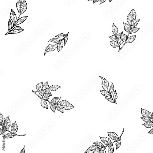 Twig with leaves, small bushes on a seamless pattern. Vector illustration. Branches are isolated on white background. Suitable for postcards, logos, invitations, cosmetic design, printing on textiles