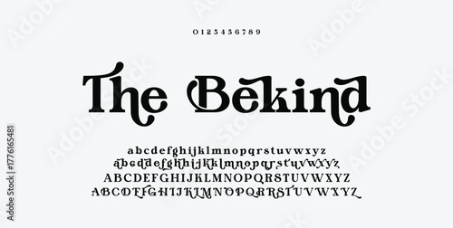 Beauty Luxury font alphabet logo. Typography beautiful fashion elegant classic letters serif italic fonts decorative wedding vintage retro logos. vector illustration