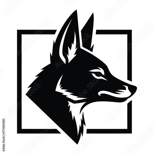 Golden Jackal head profile silhouette in square frame