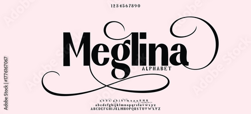 Luxury alphabet letters font. Typography elegant wedding classic lettering serif fonts decorative vintage retro. vector illustration